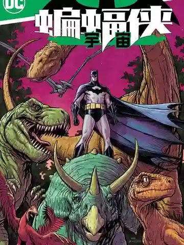 蝙蝠侠-宇宙海报