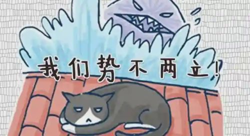 猫和鱼的故事海报