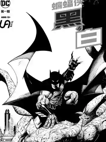 蝙蝠侠 黑与白V2海报
